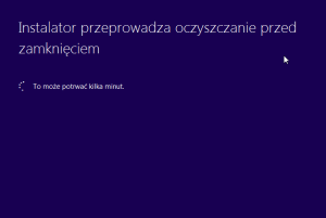 WIN10 oczyszczanie przed zamknięciem.png