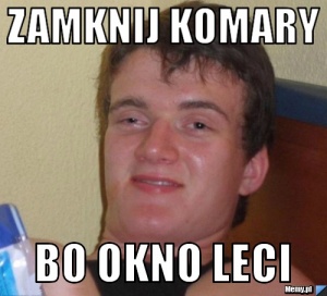 Zamknij komary bo okno leci.jpg