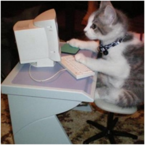 Kot uzależniony od internetu.jpg