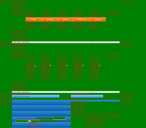 Psucie stylu CSS 05.png