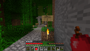 Kenexowo dojazd 03.png