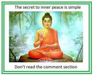Sposób na spokój nie czytaj sekcji komentarzy.jpg