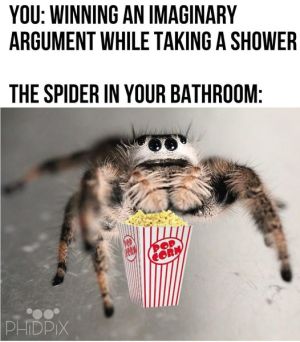 Wygrywasz wyimaginowaną kłótnię - pająk.jpg