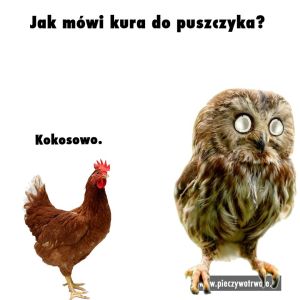 Kokosowo.jpg