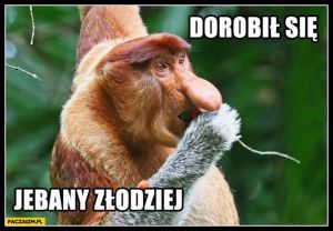 Dorobił się jebany złodziej małpa polak.jpg
