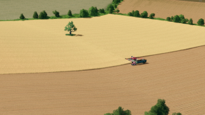 Cities Skylines z toną modów - pola.png