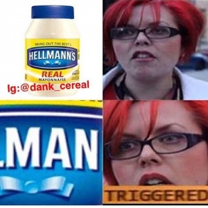 Feministka nazifeministka triggered man.jpg